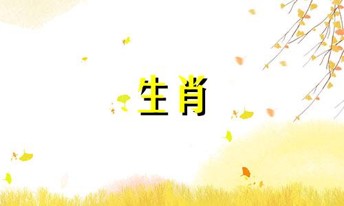 虎年出生的男属龙女羊运气如何?