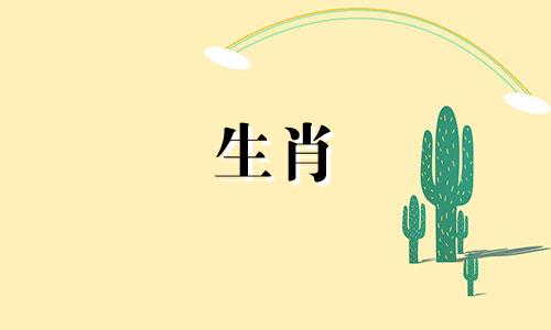 猪和猪生肖结婚合适吗?