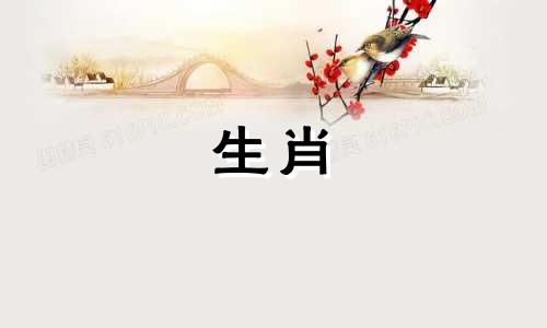 狗男人和属鼠女人的婚姻多么美满啊