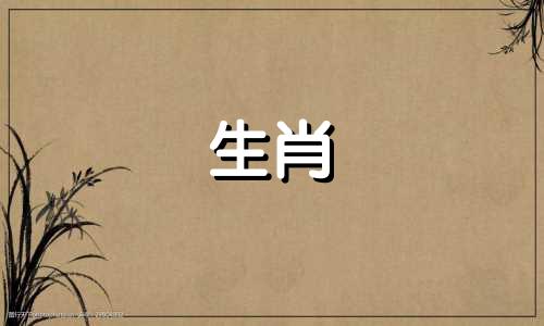 如何嫁给属鼠和属虎如何嫁给属鼠和属虎