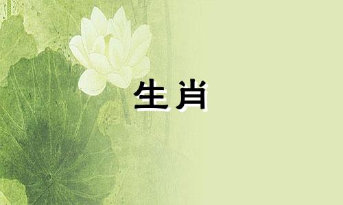 公牛和母鸡能相容吗?你运气怎么样?