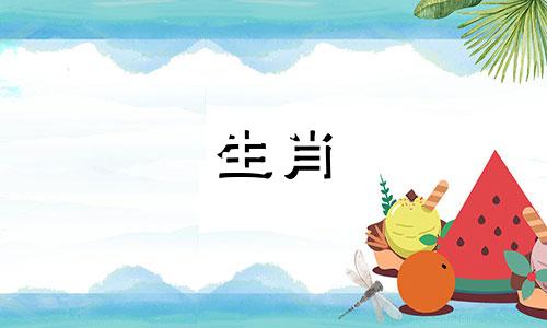 爱狗的男孩喜欢穿辣的女孩