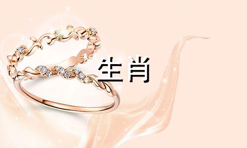 如何解决1990年公鼠与母马的婚姻问题