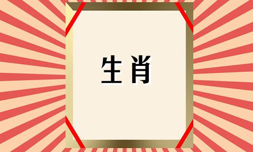 猪女孩出生在正月初八吗?你的财富是多少?