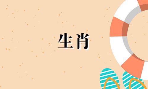 33岁的兔子适合什么婚姻?你的婚姻运势如何?