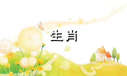 为什么生肖猪和蛇不能在一起?