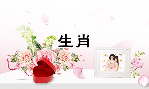 什么星座的狗适合配对?