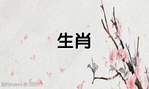 属虎和属龙匹配吗?那么属龙虎婚姻呢?