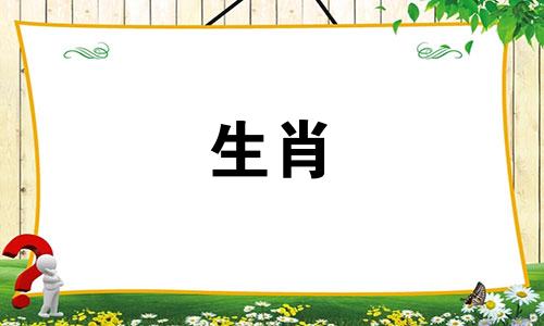 meat字符代表什么?十二生肖代表猪