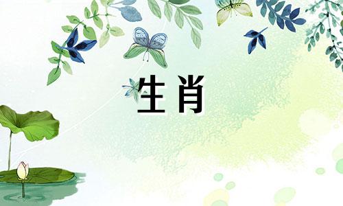 婚后生肖女子属狗，女性地位不高