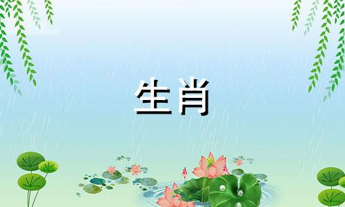 鸡和马的婚姻怎么样?为什么最好把马和公鸡配在一起?