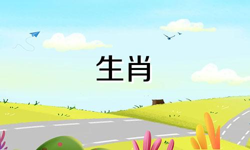 是减肥不保财运的猪妹吗?