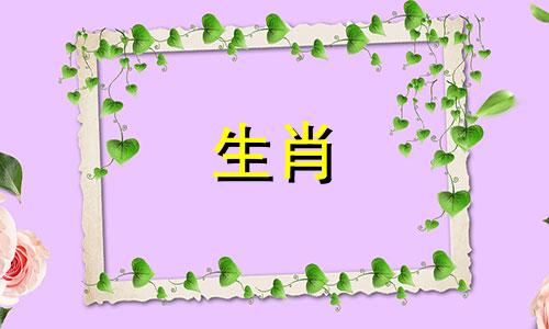 雄性和雌性属猴匹配吗?