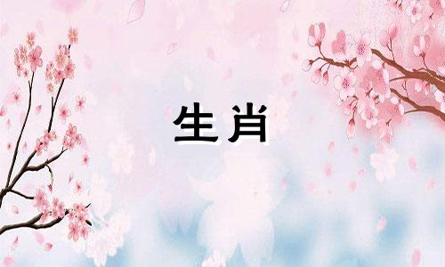 蛇女和属龙男相处得很好