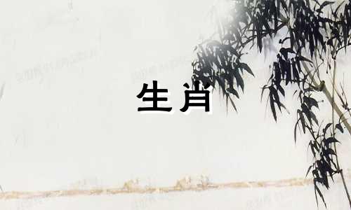 87年是狗年,猪年,羊年。