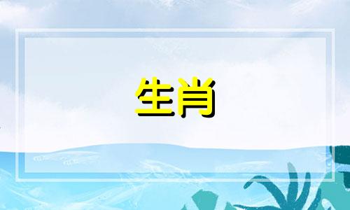 男属龙女猪婚姻好婚姻