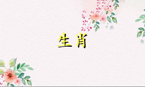 鼠女和什么属相最适合鼠猴属龙