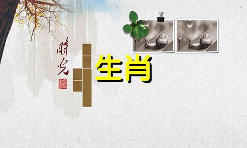 狗和牛的婚姻是怎样的?