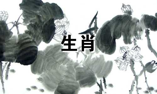 87年的公兔，什么属相，什么运气?