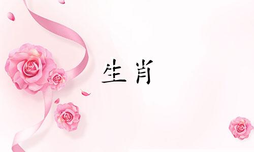 马蛇婚姻如何结婚一般般