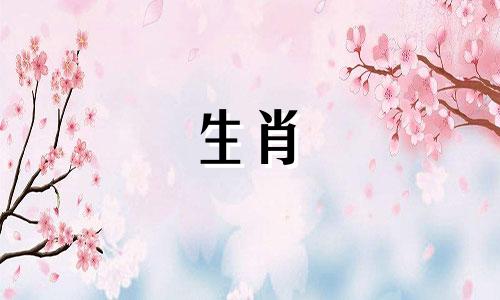 雄鸡属龙女婚姻如何一起工作