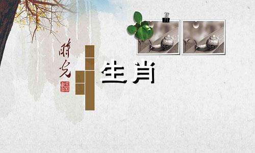 男孩是兔子，女孩是属龙?配对运气怎么样?