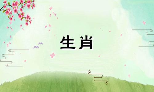 狗后出生的男孩命运如何?