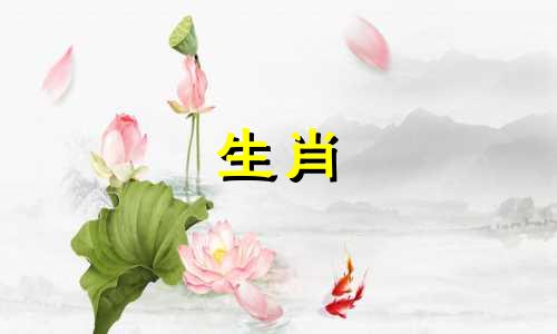 猪和什么属相是猪的最佳伴侣