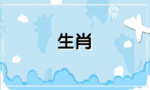 91年的羊和什么样的动物是好配对的运气?