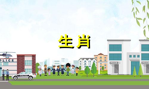 狗和属猴的婚姻怎么样?