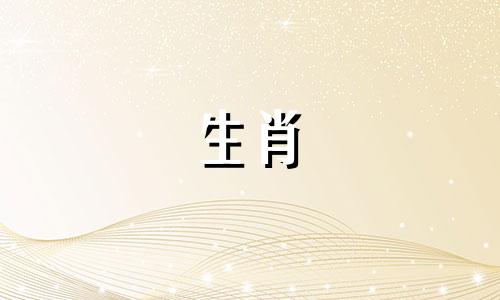 猪男最好的标志是什么?