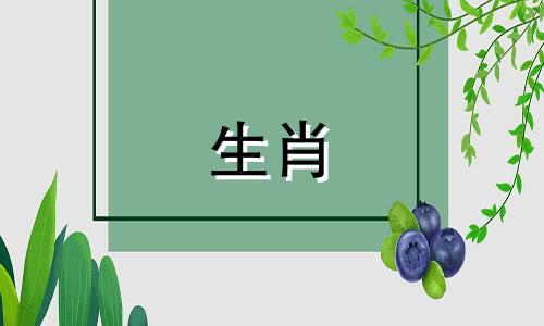 97年的公牛和属鼠、蛇和鸡都很好