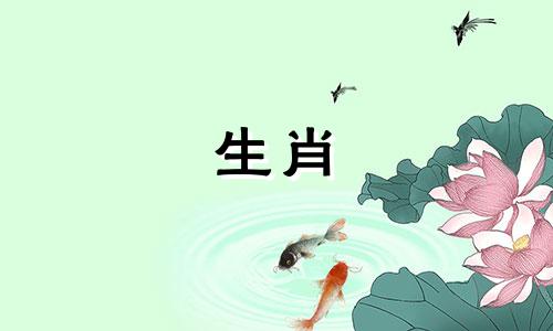 猪的财富看时间和月份