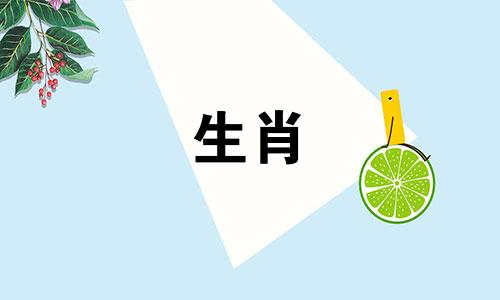 1982年狗的五行缺了什么，82年狗什么时候幸运