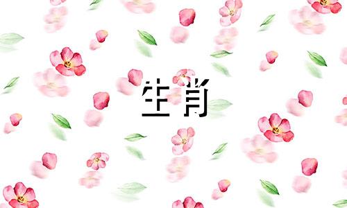 猪年最忌讳出生在哪个月份?最好不是五月或六月