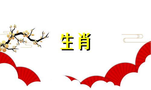 蛇生猪宝宝怎么做两者矛盾