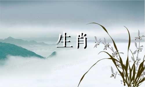 雄性属猴和雌性属鼠匹配吗?为什么属猴遇到属鼠时会很幸运?