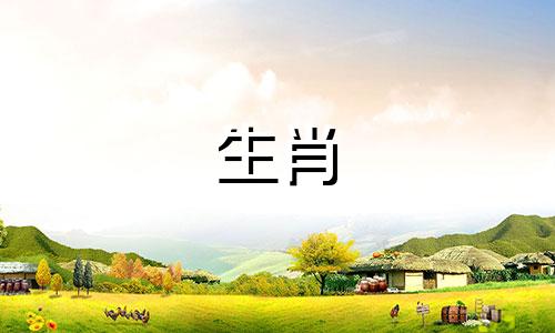 狗最繁荣的画像是什么?