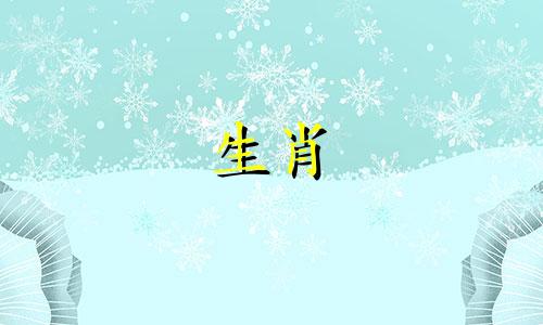 生肖蛇和生肖兔将如何结婚?