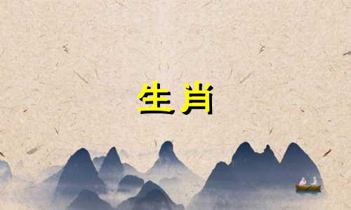 鼠选择几层适合的具体繁荣方向