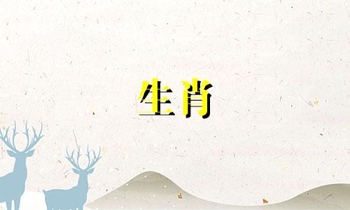 生肖蛇和兔子如何比较合适的一对