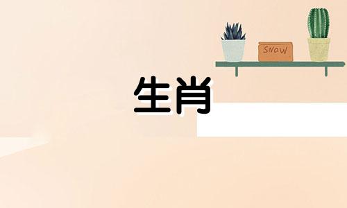 属鼠男人想和什么样的女人上床?长腿女人