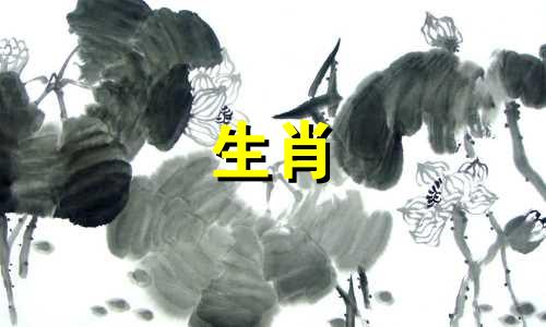 2008年属鼠的生活是怎样的?属鼠的寿命