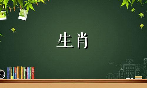87年的兔子和98年的属虎兼容吗?