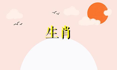 蛇女旺羊男?这双鞋你买得怎么样?