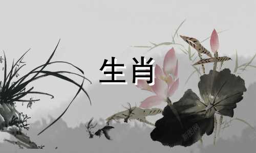 88属龙,雄性,狗,94雌性?不太合适