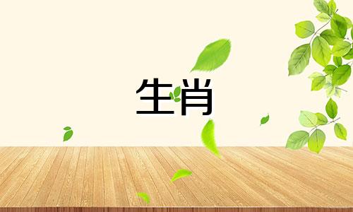 雄虎和雌鸡竟然很般配雄虎雌鸡婚姻长久吗?