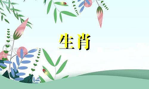 公猪婚后的命运是否幸福