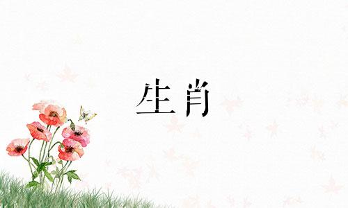 96年最佳属鼠搭档你的运气是多少?