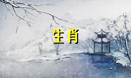 公马母狗婚姻好母马大公狗4岁生肖婚姻表